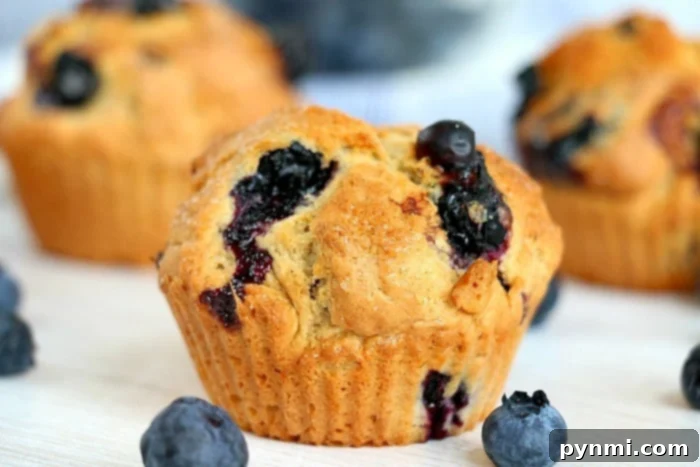 Make-Ahead Blueberry Muffins 8 A single blueberry muffin, perfectly baked with a golden top and visible blueberries, resting on a rustic wooden surface.