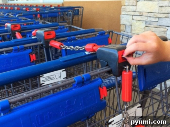 aldi food market shopping carts