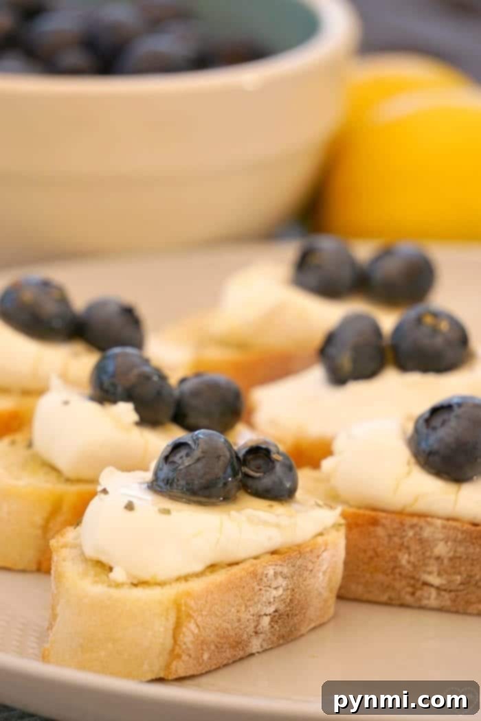 This lemon fruit bruschetta is amazing!! You've got to make it the next time you need an appetizer. Delicious Lemon Goat Cheese Bruschetta topped with fresh blueberries