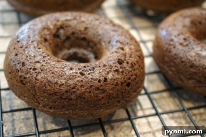 A close-up of cake mix donuts with a rich chocolate glaze.