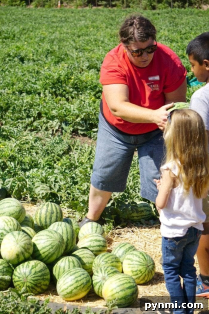 Tanaka Farms Sweet Melon Adventure 5 A vibrant selection of freshly harvested organic vegetables and fruits laid out for tasting at Tanaka Farms.