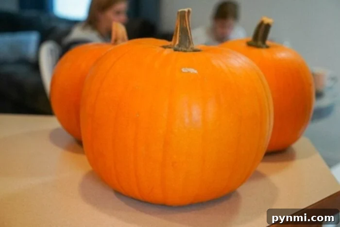 A vibrant orange pumpkin, ready for carving or decoration, symbolizing the essence of Halloween fun.