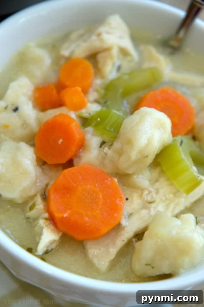 A steaming bowl of slow cooker chicken and dumplings, featuring tender chicken, vegetables, and fluffy dumplings in a creamy sauce, garnished with fresh parsley.