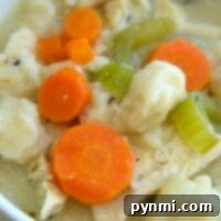 Close-up of a hearty bowl of slow cooker chicken and dumplings featuring tender carrots, celery, and succulent pieces of chicken.