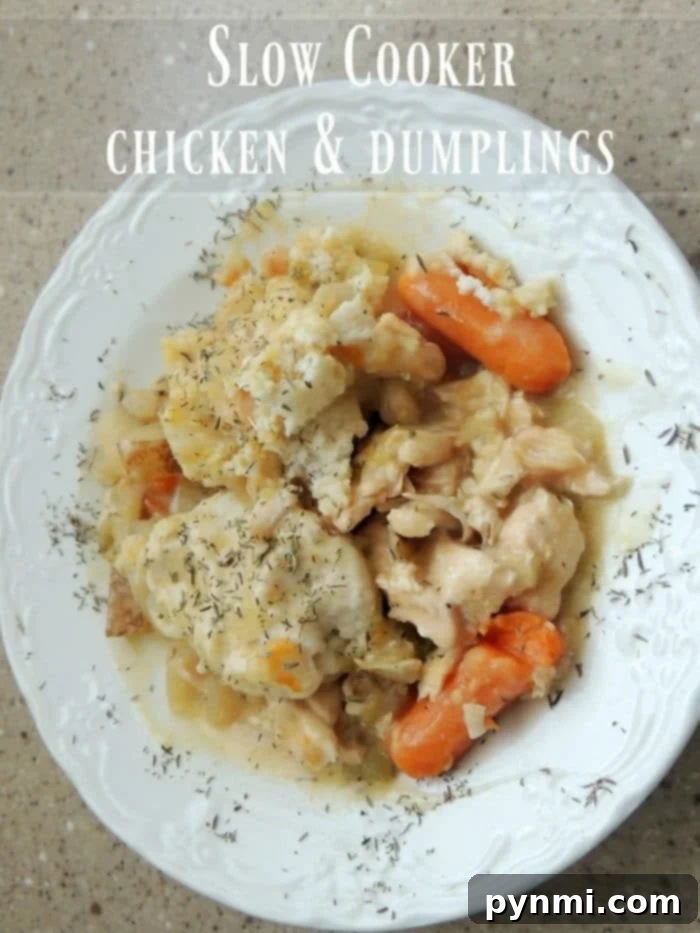 A generous serving of slow cooker chicken and dumplings in a rustic bowl, garnished with fresh herbs, ready to be enjoyed.