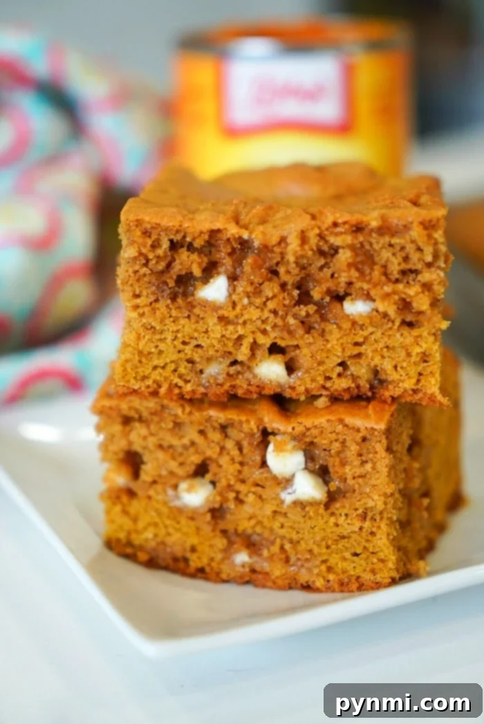 Delicious pumpkin blondies with chocolate chips
