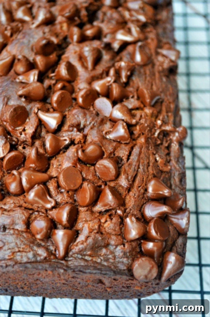 A close-up of chocolate chip pumpkin bread on a cooling rack, resembling a delectable slice of chocolate pumpkin cake.