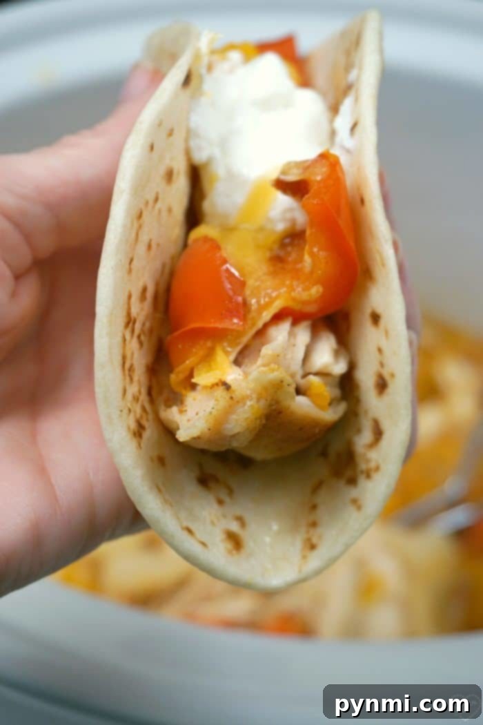 Easy crockpot chicken fajitas recipe your whole family will love!! Our favorite slow cooker recipe that's cheap, really easy and a healthy meal too. #crockpot #chickenfajitas #fajitas #slowcooker #crockpotrecipes A close-up of a generously filled tortilla with easy crockpot chicken fajitas, garnished with cilantro, ready for a delicious bite.