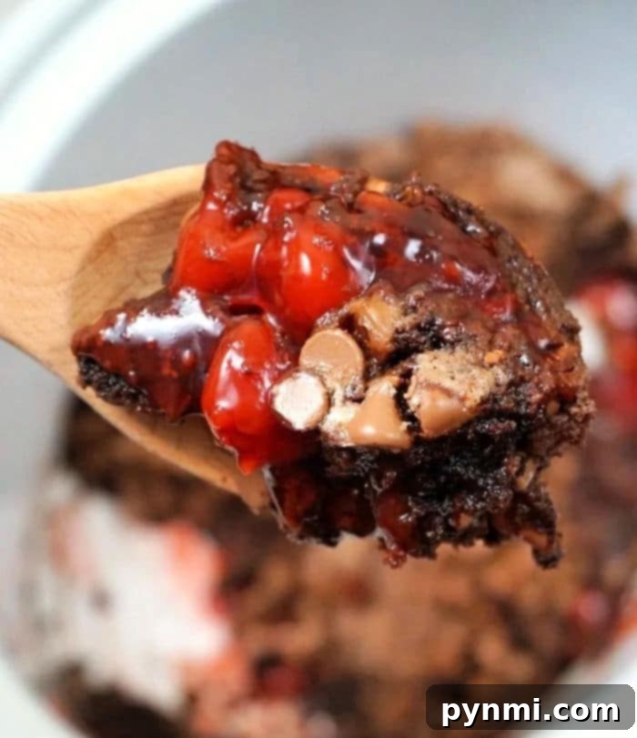Crockpot Lava Cake with cake mix, perfectly cooked and ready to serve.