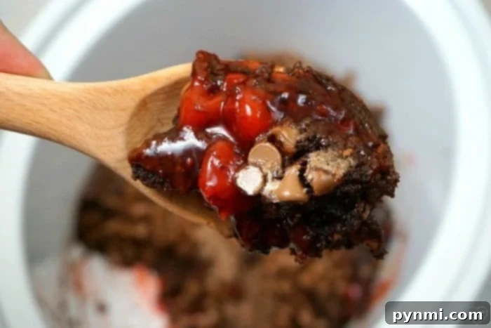 A generous serving of gooey crockpot lava cake with cherry filling.