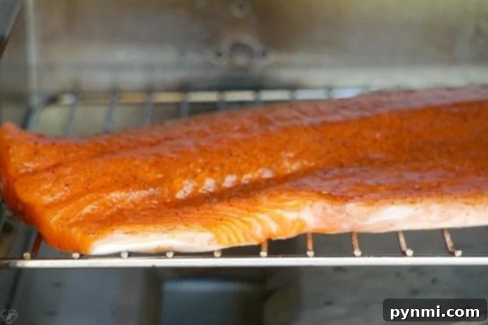 Close-up of salmon fillet on a smoker rack, absorbing the smoky essence.