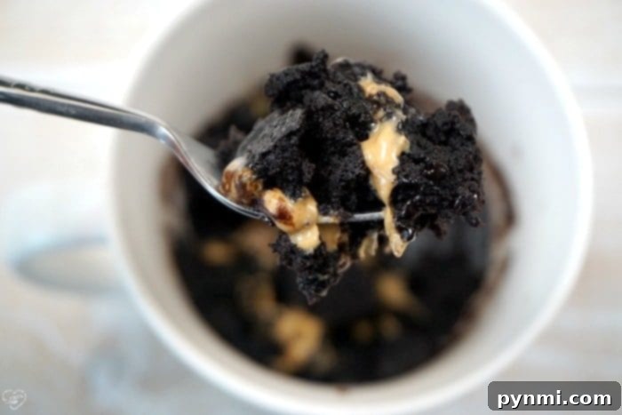 Experience pure bliss with this fudgy Peanut Butter Brownie in a Mug – a rapid 1-minute microwave dessert that's simple, satisfying, and utterly delicious for one! A close-up of a spoonful of chocolate mug brownie with melted peanut butter, demonstrating a quick and indulgent dessert option. Perfect for learning how to make a brownie in a mug.