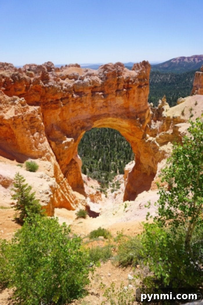 Panoramic view of Bryce Canyon's natural amphitheater and hoodoos