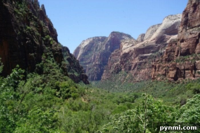 Zion National Park Utah is one of our favorite places! Where you should stay and what to do when you visit this beautiful Utah National Park. It's a beautiful area to visit on vacation with your kids and there's lots to do inside the park that is free. #zion #nationalparks #nationalpark #utah #travel #roadtrip zion canyon - majestic views