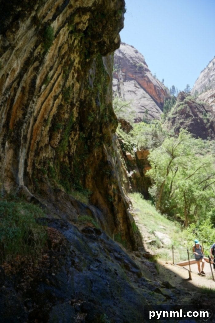 Zion National Park Utah is one of our favorite places! Where you should stay and what to do when you visit this beautiful Utah National Park. It's a beautiful area to visit on vacation with your kids and there's lots to do inside the park that is free. #zion #nationalparks #nationalpark #utah #travel #roadtrip zion national park utah - Weeping Rock views