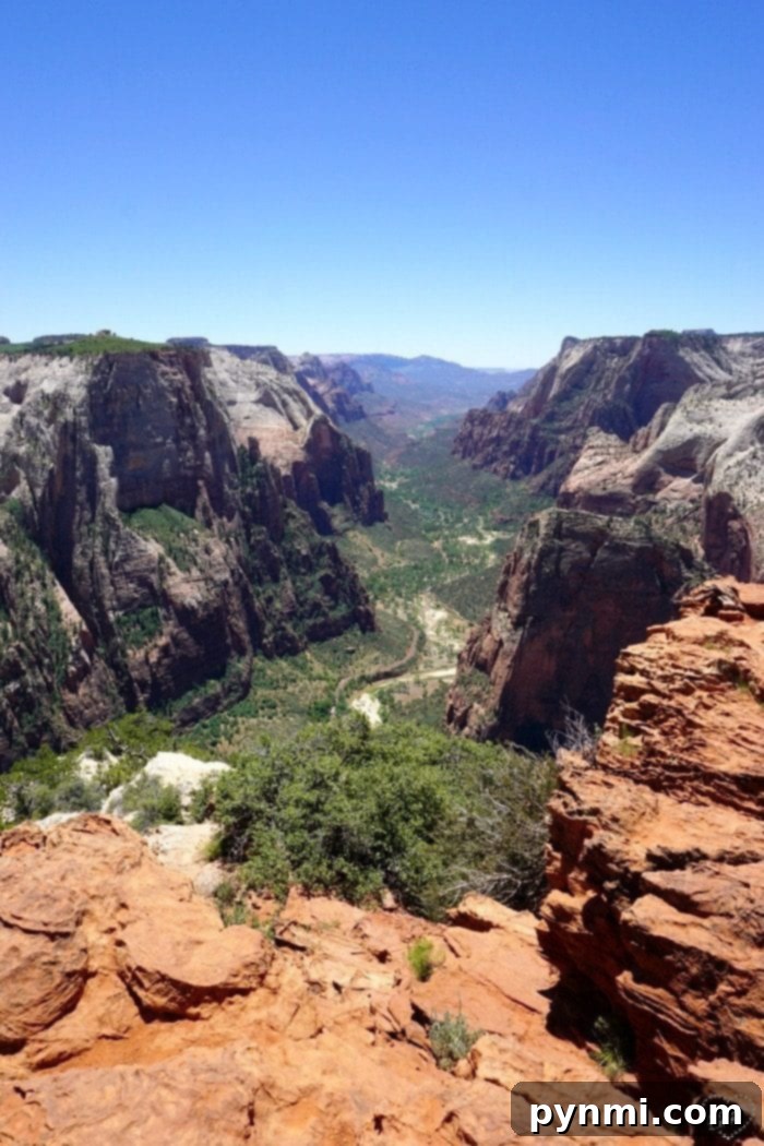 Zion National Park Utah is one of our favorite places! Where you should stay and what to do when you visit this beautiful Utah National Park. It's a beautiful area to visit on vacation with your kids and there's lots to do inside the park that is free. #zion #nationalparks #nationalpark #utah #travel #roadtrip observation point utah - stunning canyon view