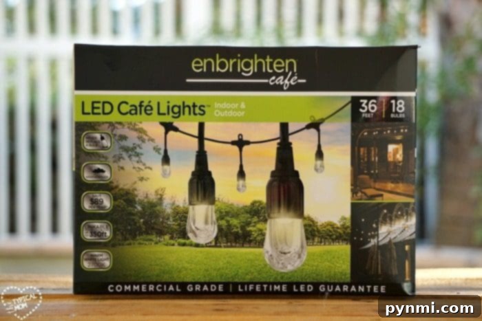 Enbrighten Cafe Lights creating a warm ambiance for an outdoor gathering.