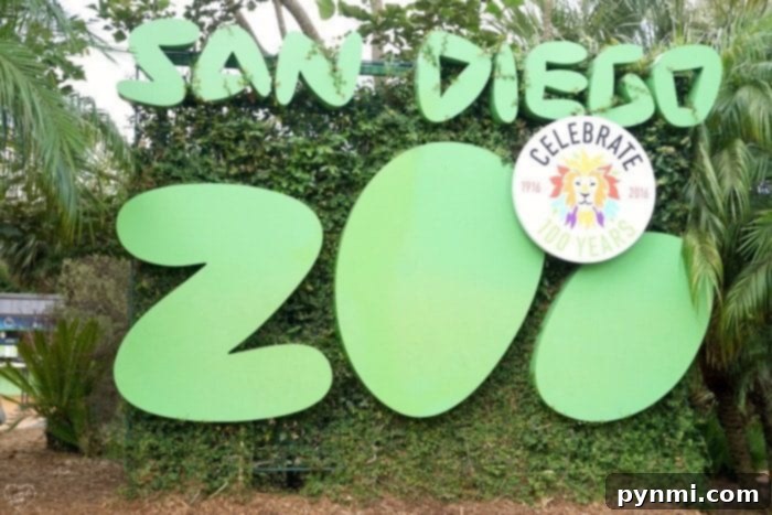 An Overnight Adventure at the San Diego Zoo 2 san diego zoo sleepover
