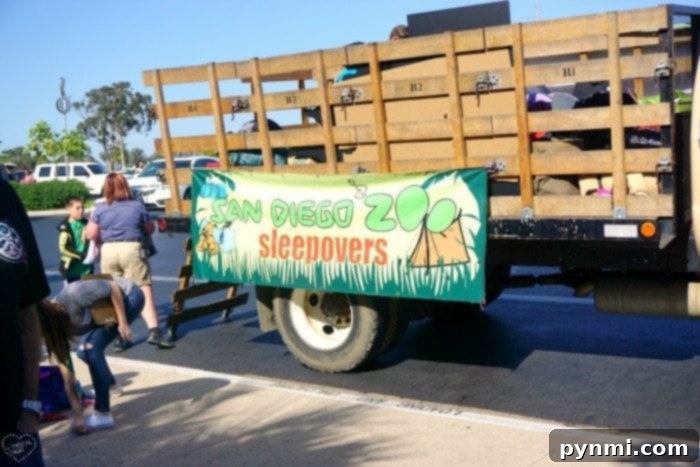 An Overnight Adventure at the San Diego Zoo 3 san diego zoo sleepover