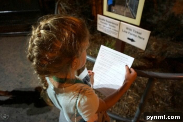 An Overnight Adventure at the San Diego Zoo 10 san diego zoo sleepovers