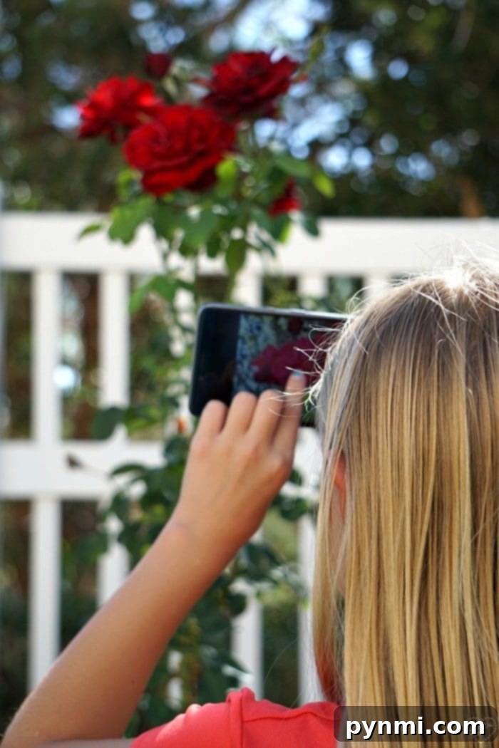 teaching kids about photography