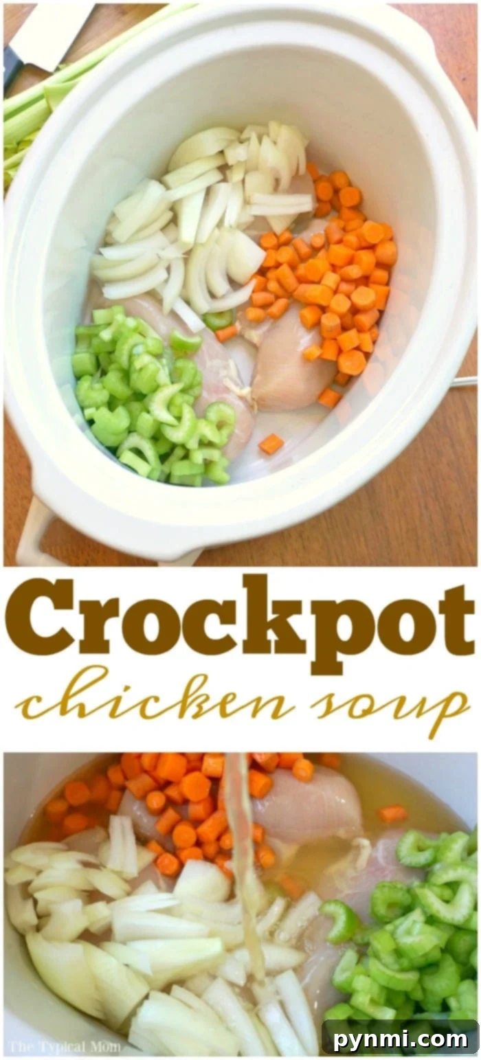 Close-up of a ladle scooping hearty chicken soup from a white pot, showcasing tender carrots and noodles that simmered perfectly in the crockpot.