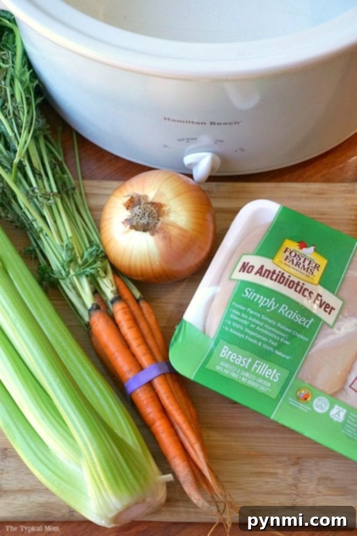 Hearty chicken soup in the crockpot, packed with tender chicken, carrots, and celery.