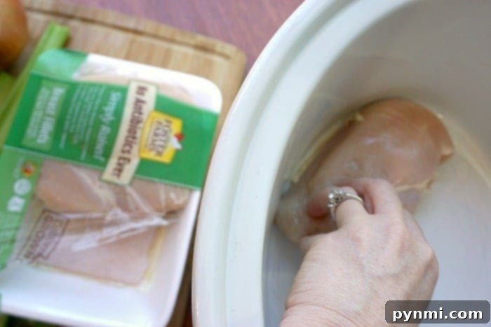 Easy and healthy chicken soup in the crockpot, perfect for a comforting meal.