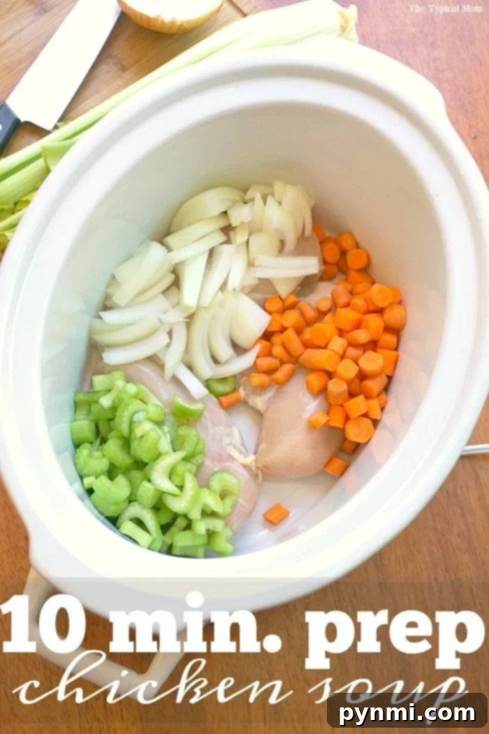 Close-up of hearty chicken noodle soup in a slow cooker, brimming with vegetables and chicken.