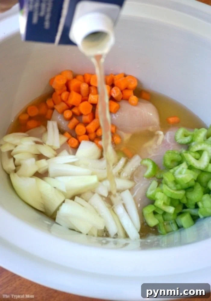 Hearty crockpot chicken noodle soup, rich with flavor and perfect for a family meal.