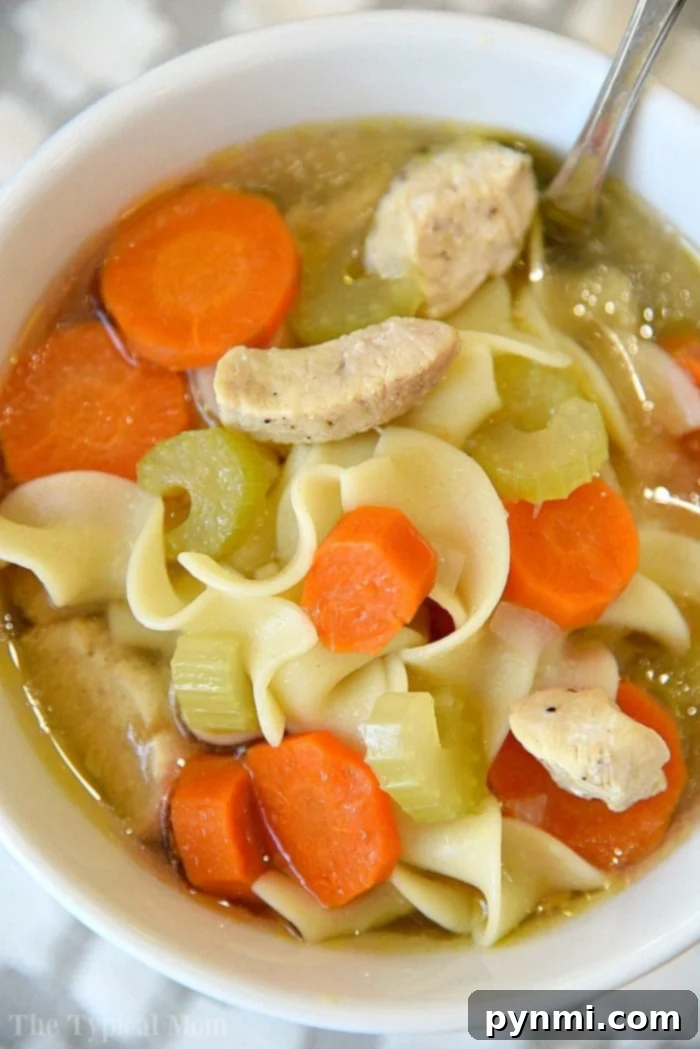 A steaming bowl of Instant Pot chicken noodle soup, garnished with fresh herbs.