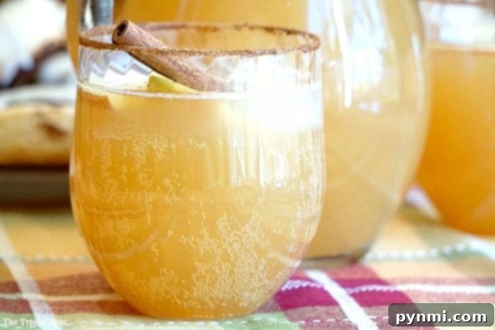 Crisp Bubbly Alcohol-Free Apple Cider 7 A glass of perfectly chilled apple cider with ice, apple slices, and a cinnamon stick, ready to be enjoyed.