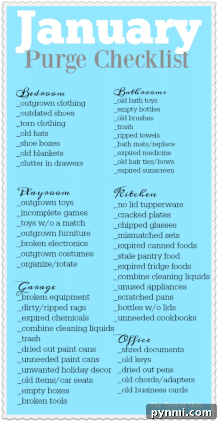 January purge and cleaning checklist for home organization