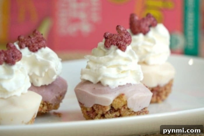 A close-up of mini frozen yogurt cupcakes on a white plate, showcasing their whipped cream topping and berry cereal garnish.