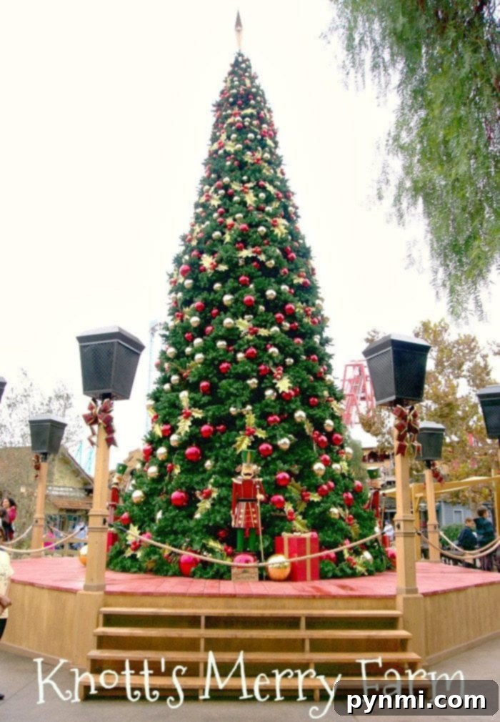 Knott's Berry Farm transformed for Christmas, showcasing festive decorations and lights, with guests enjoying the holiday atmosphere.