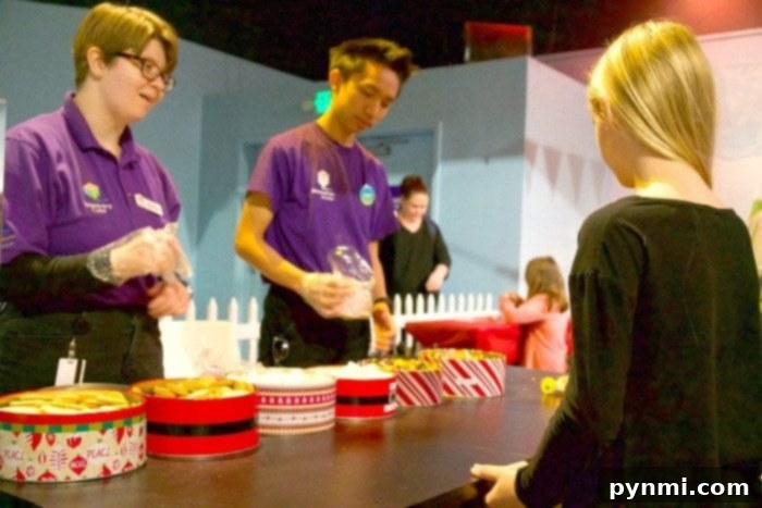Close-up of decorated gingerbread houses made by kids at the Discovery Cube.
