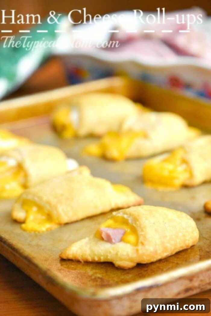 Baked Ham and Cheese Roll-Ups: The ultimate quick and easy snack or meal solution. Golden brown baked ham and cheese roll-ups on a baking sheet, ready to eat.