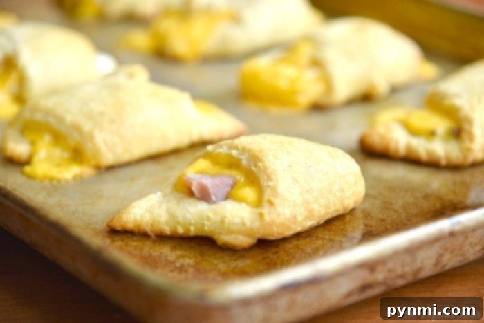 These golden ham and cheese roll-ups are perfect for using leftover ham or turkey, making them an easy and quick snack or meal. Freshly baked ham and cheese roll-ups on a baking sheet, golden brown and glistening.