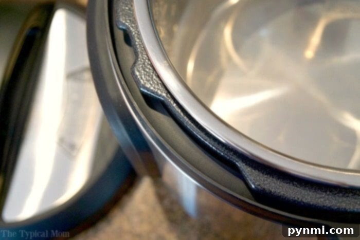A person hand-washing the silicone sealing ring of an Instant Pot, emphasizing the importance of thorough cleaning for odor removal and optimal performance.
