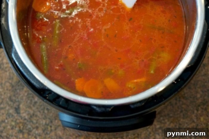 Instant Pot vegetable beef soup is amazing! It costs less than $20 for the whole meal, it's a healthy soup, and the kids love it! Done in just 20 minutes and a healthy pressure cooker dinner that is complete as is or serve it with a side of bread for added goodness.. #instantpot #pressurecooker #vegetable #beef #soup #recipe #vegetarian #instantpotrecipes #thetypicalmom Instant Pot vegetable beef soup with tender vegetables and savory broth.