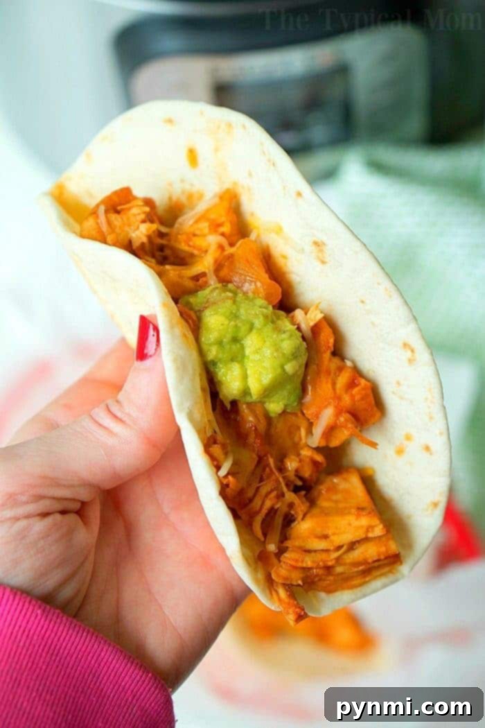 Enjoy a bite of these incredible Instant Pot shredded chicken tacos, healthy and affordable. A hand holds a taco filled with guacamole and savory instant pot shredded chicken, offering a delicious bite.