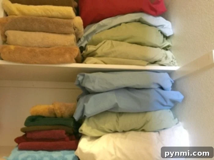 Neatly folded towels and organized shelves inside a sparkling clean linen closet, demonstrating effective home organization.