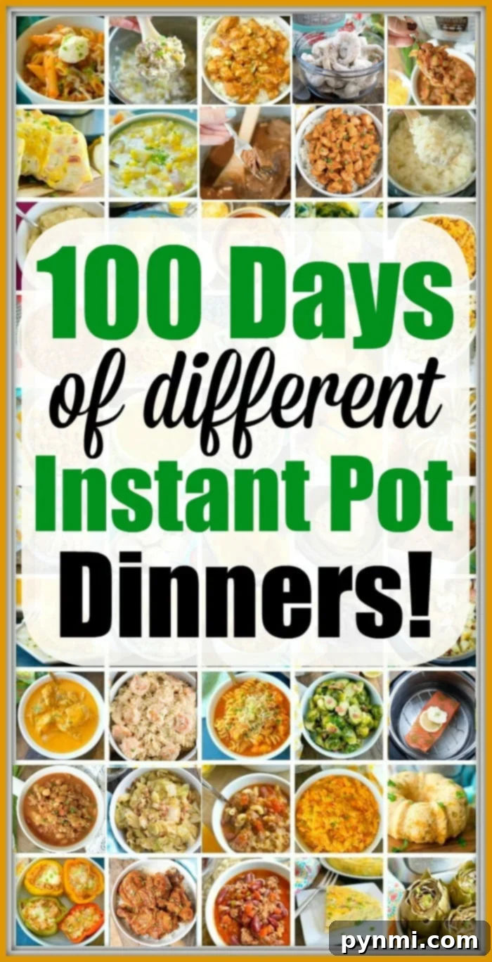 Instant Pot Dinner Recipes