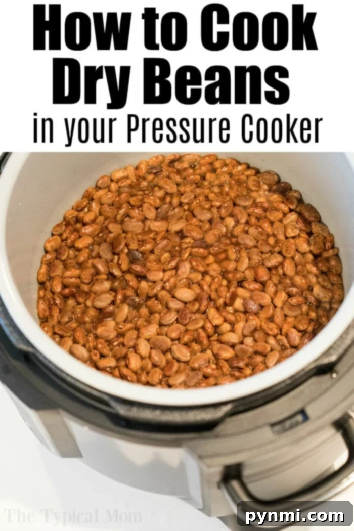 An overhead view showcases cooked brown pinto beans inside a pressure cooker. Text at the top reads, 'How to Cook Dry Beans in your Pressure Cooker.' The pinto beans appear fully cooked, filling the cooker to perfection.