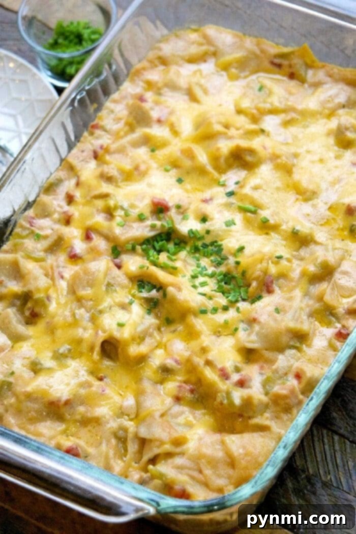 Creamy chicken tortilla casserole with melted cheese and fresh herbs, perfect for a family dinner.