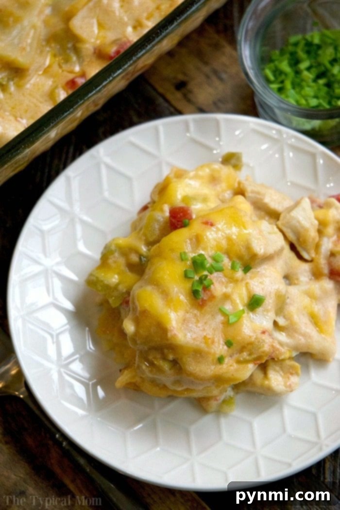 Close-up of easy chicken tortilla casserole ready for baking, showing layers of chicken, tortillas, and cheese.