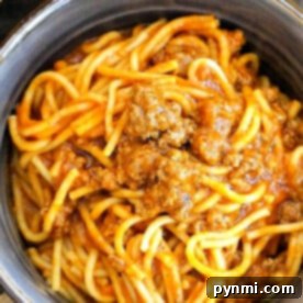Effortless Instant Pot Spaghetti 5 A bowl of instant pot spaghetti with ground meat in tomato sauce.