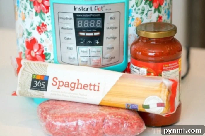 Easy Instant Pot spaghetti recipe that's one of our favorite one pot meals ever! A family favorite dinner that you just dump and go and only requires a few ingredients to make. A complete pasta dish that feeds all five of us for under ten dollars, that's a big win in my book! #instantpot #pressurecooker #spaghetti #intantpotrecipes #instantpotspaghetti #pasta #thetypicalmom #crockpotexpress easy instant pot spaghetti served in a bowl
