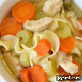A bowl of Instant Pot chicken noodle soup with carrots, celery, noodles, and tender chicken pieces, served with a spoon inside.