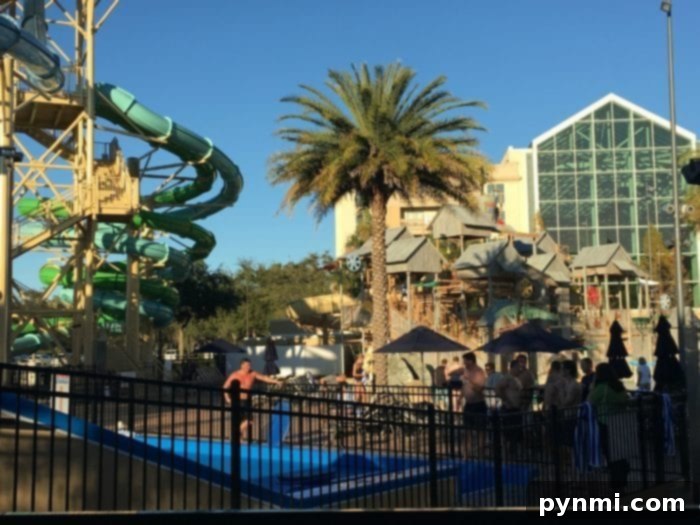 Stunning architecture inside Gaylord Palms Resort